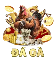 Câu hỏi thường gặp